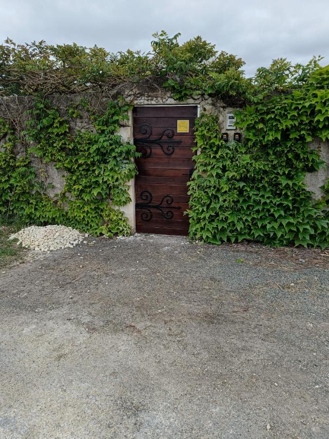 ArvertDomaine De La Pirouette公寓 外观 照片